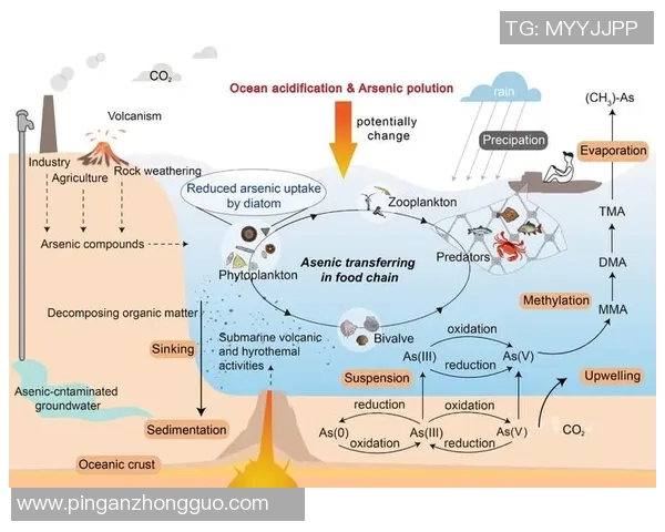 冰球联赛恶意犯规趋势分析及处罚机制演变探讨